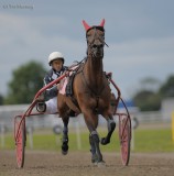 Harness racing 120708_5